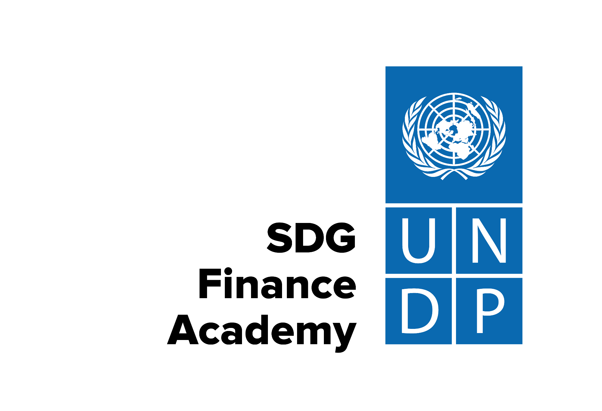 SDG Finance Academy