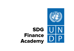 SDG Academy