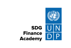 SDG Academy