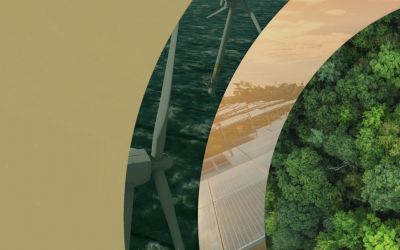 Certificate in Green and Sustainable Finance 